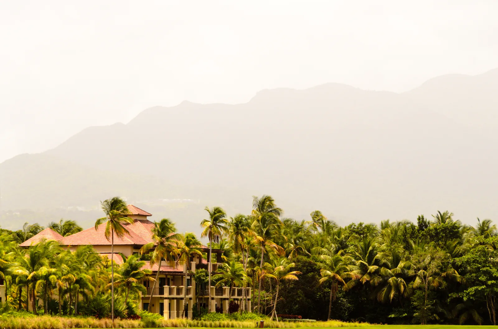 El Yunque mountains beyond palms and architecture at Bahía Beach